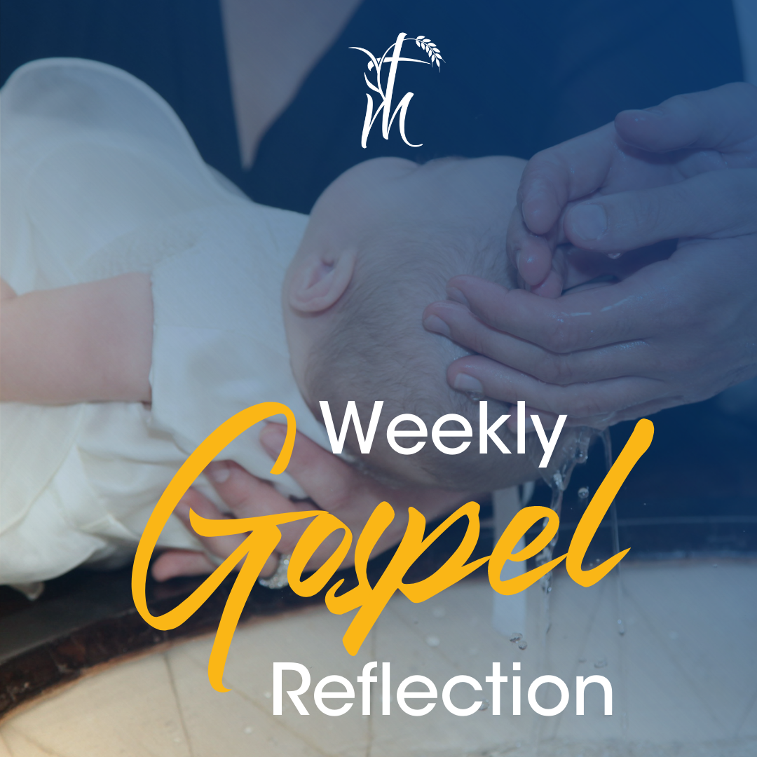weekly gospel reflection cover image